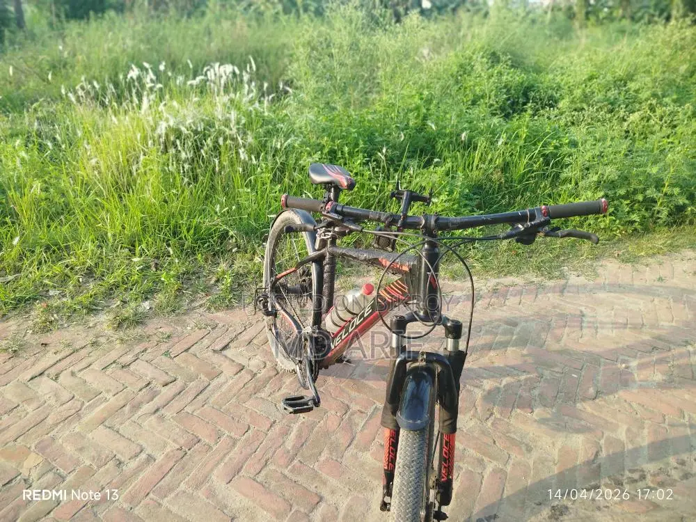 Shimrno Mt 200 Oil Break