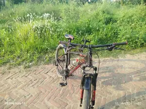 Shimrno Mt 200 Oil Break