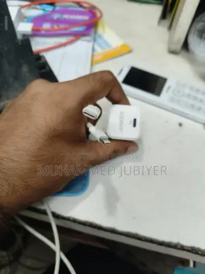 Anker charger iPhone 12 pro max cover combo
