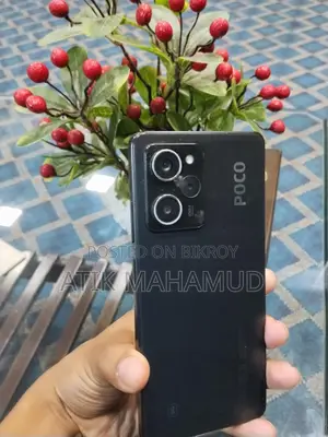 Xiaomi Poco X5 pro (Used)