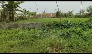 Nearby Clinic, 3 Katha Plot In Sec#9