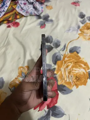 Apple iPhone 13 Pro (Used)
