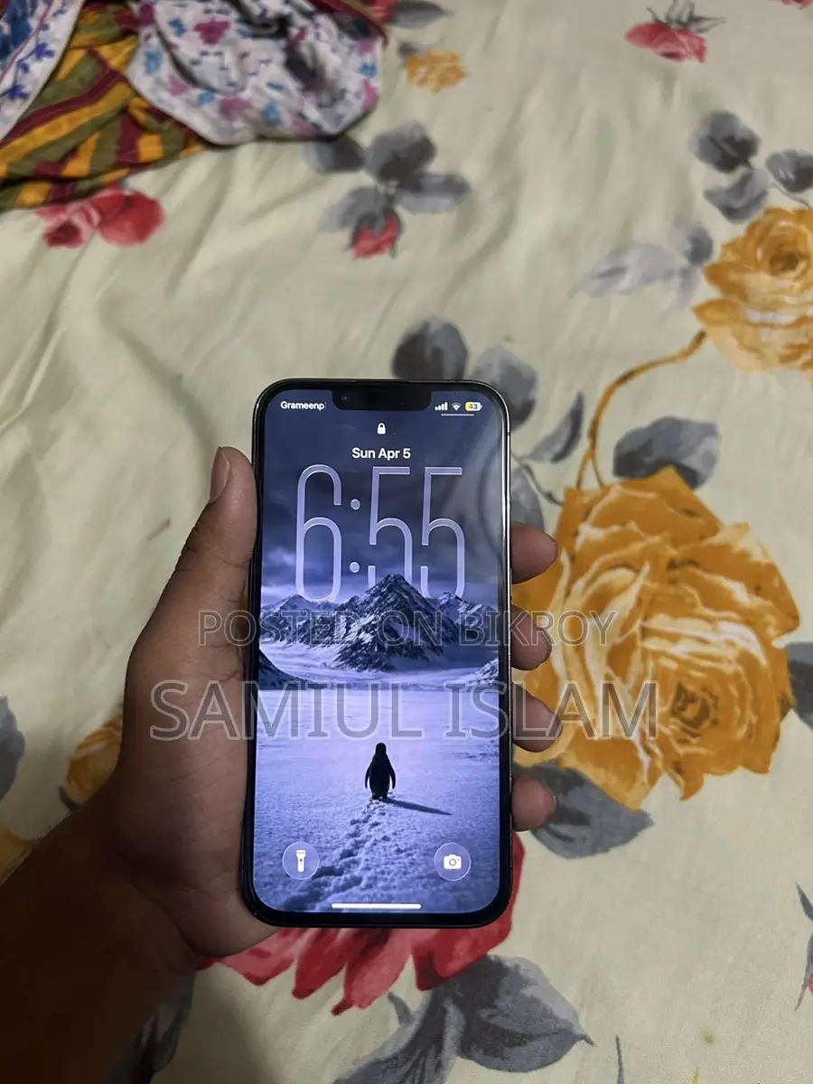 Apple iPhone 13 Pro (Used)