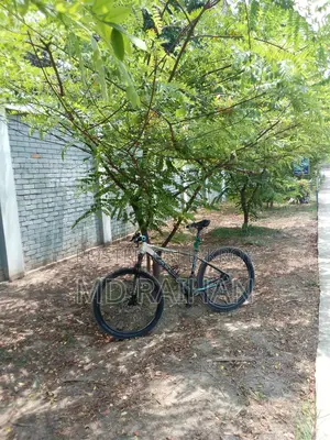 Core Cycle