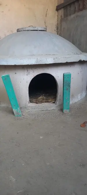 Chicken Coop