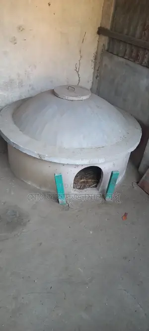 Chicken Coop