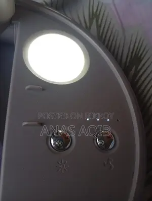 Fan for sale