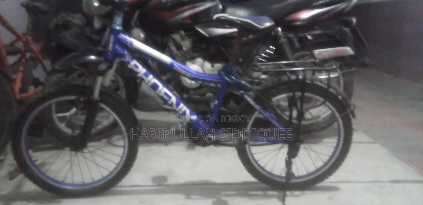 Phoenix Bicycle