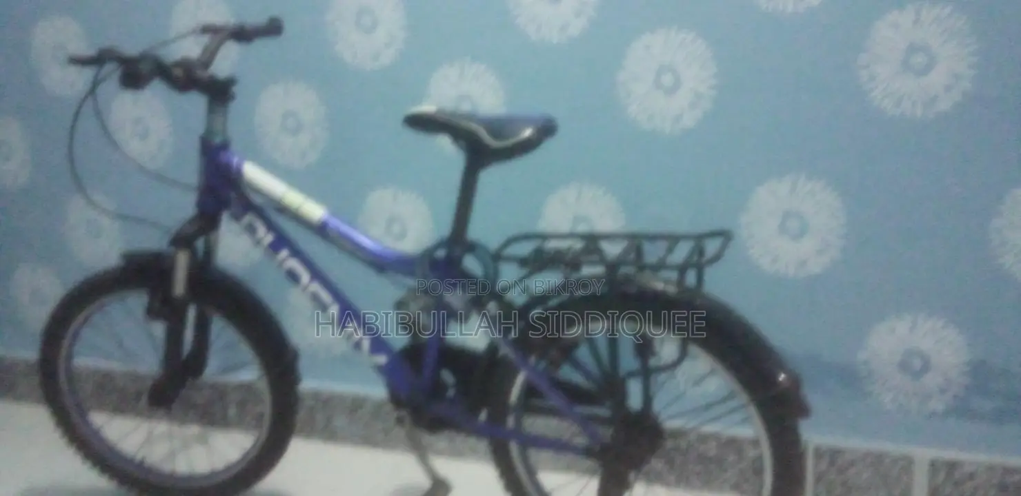 Phoenix Bicycle
