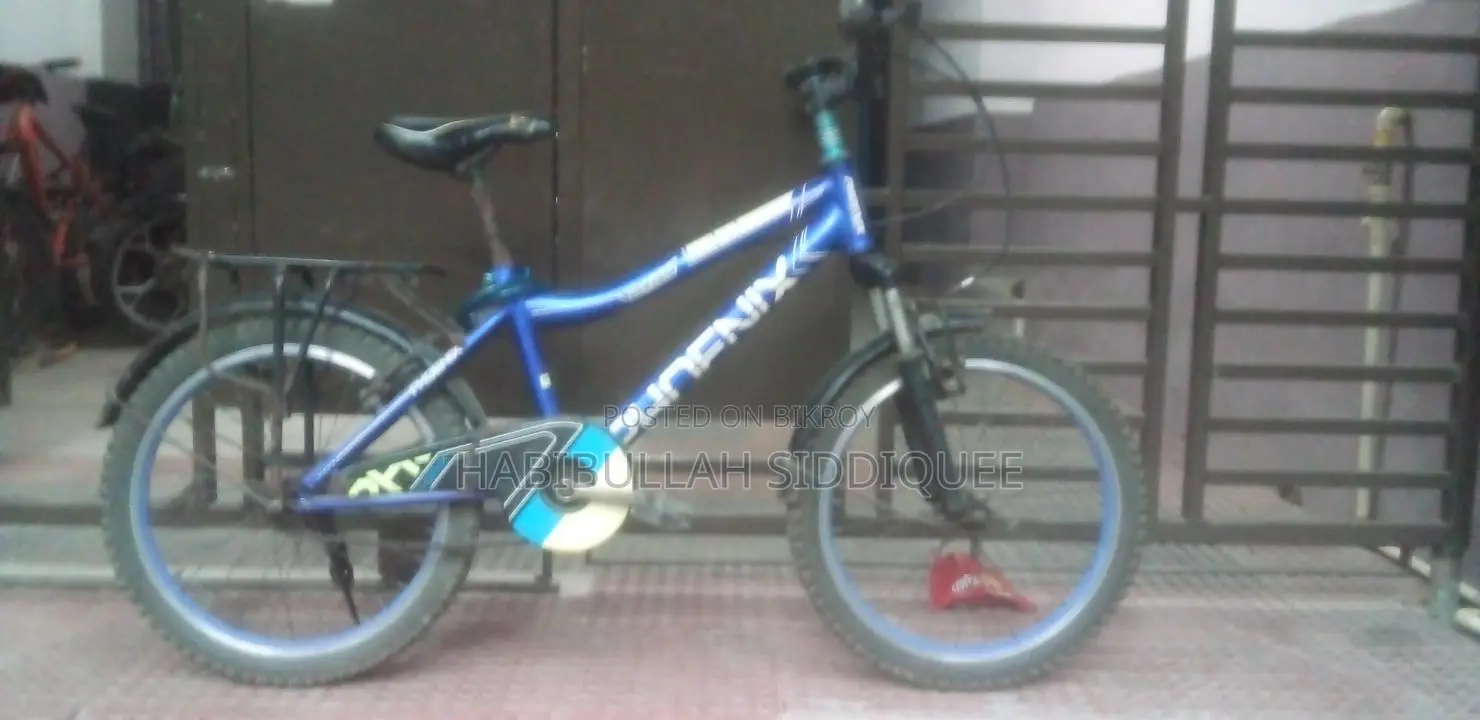 Phoenix Bicycle
