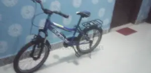 Phoenix Bicycle