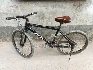 Non-Gear Bicycle Sale