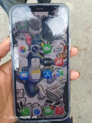 Apple iPhone 12 (Used)