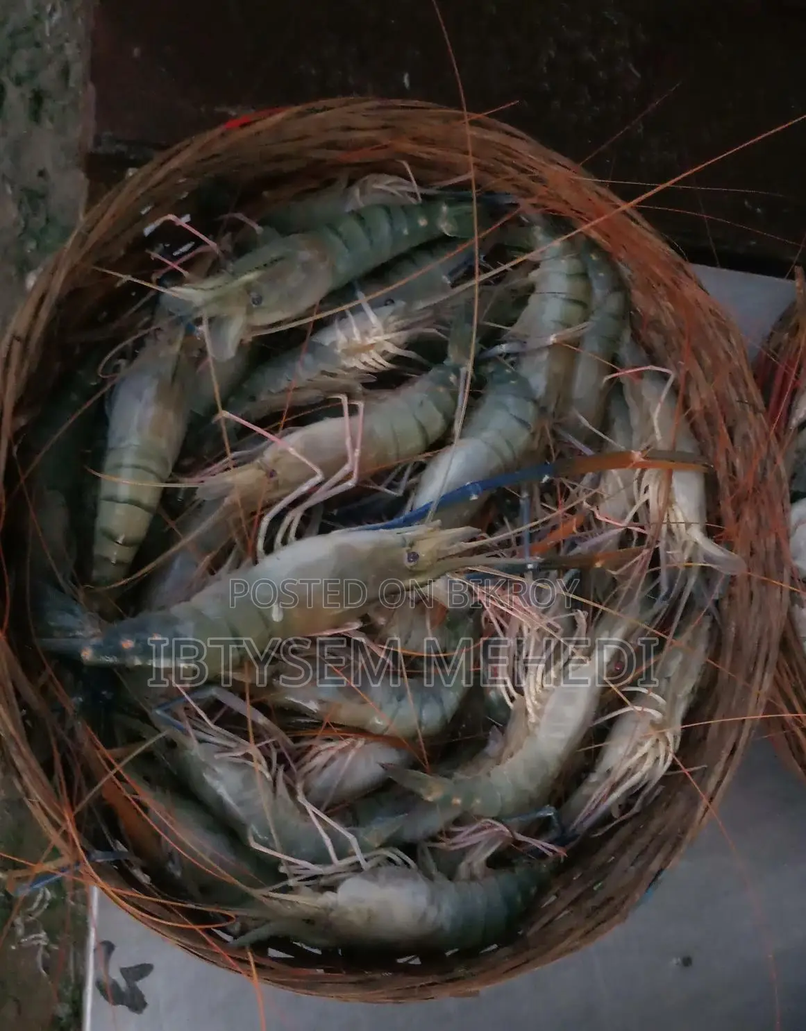 Absolutely Fresh Padma River Fish