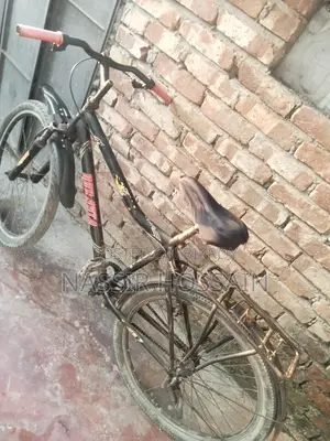 ভালো ক্যাটাগরি সাইকেল
