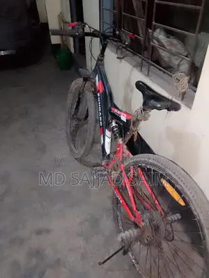Bicycle for sale between May 2nd and May 10th