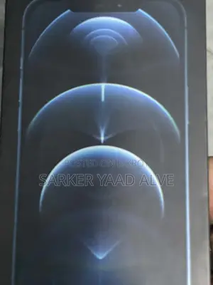 Apple iPhone 12 Pro Max (ব্যবহৃত)