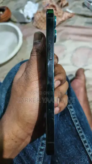 Apple iPhone 12 Pro Max (ব্যবহৃত)