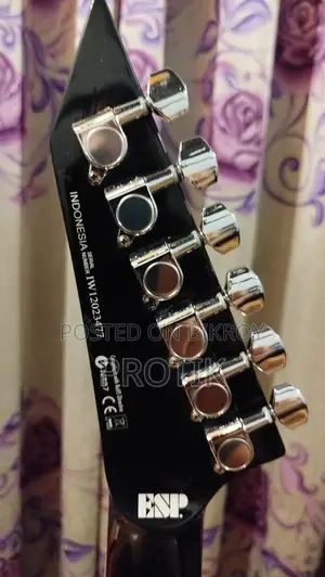 Electric Guitar LTD Mh330fr