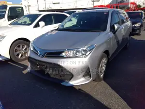 Toyota Axio EX 2020