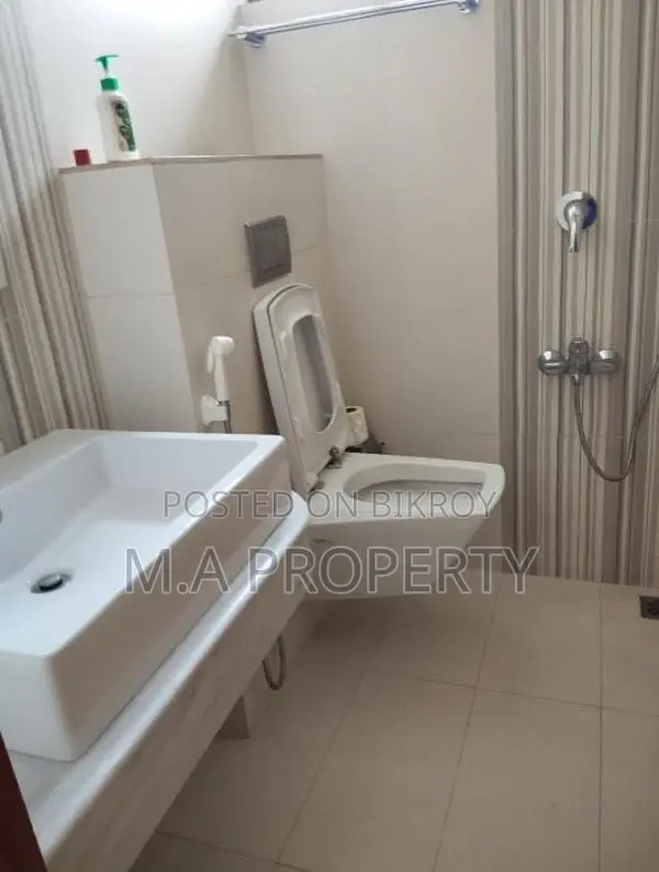 LUXURY FURNISHED FLAT RENT IN BARIDHARA