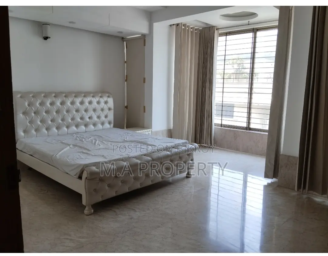 LUXURY FURNISHED FLAT RENT IN BARIDHARA