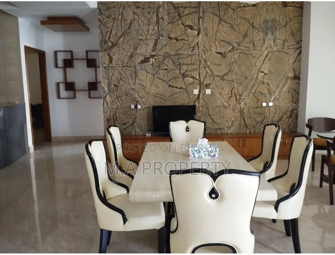 LUXURY FURNISHED FLAT RENT IN BARIDHARA