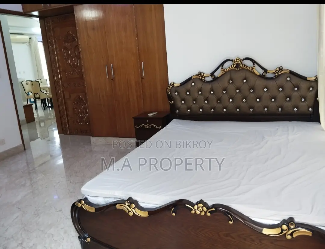 LUXURY FURNISHED FLAT RENT IN BARIDHARA