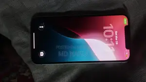 Apple iPhone 12 (Used)