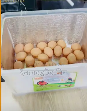 ইনকেব্রেটর