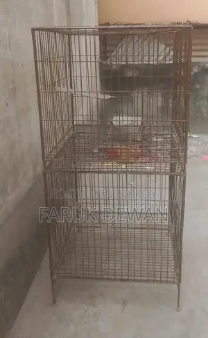 খাঁচা টি বিক্রি হবে, শক্ত এবং মজবুত কাঁচা