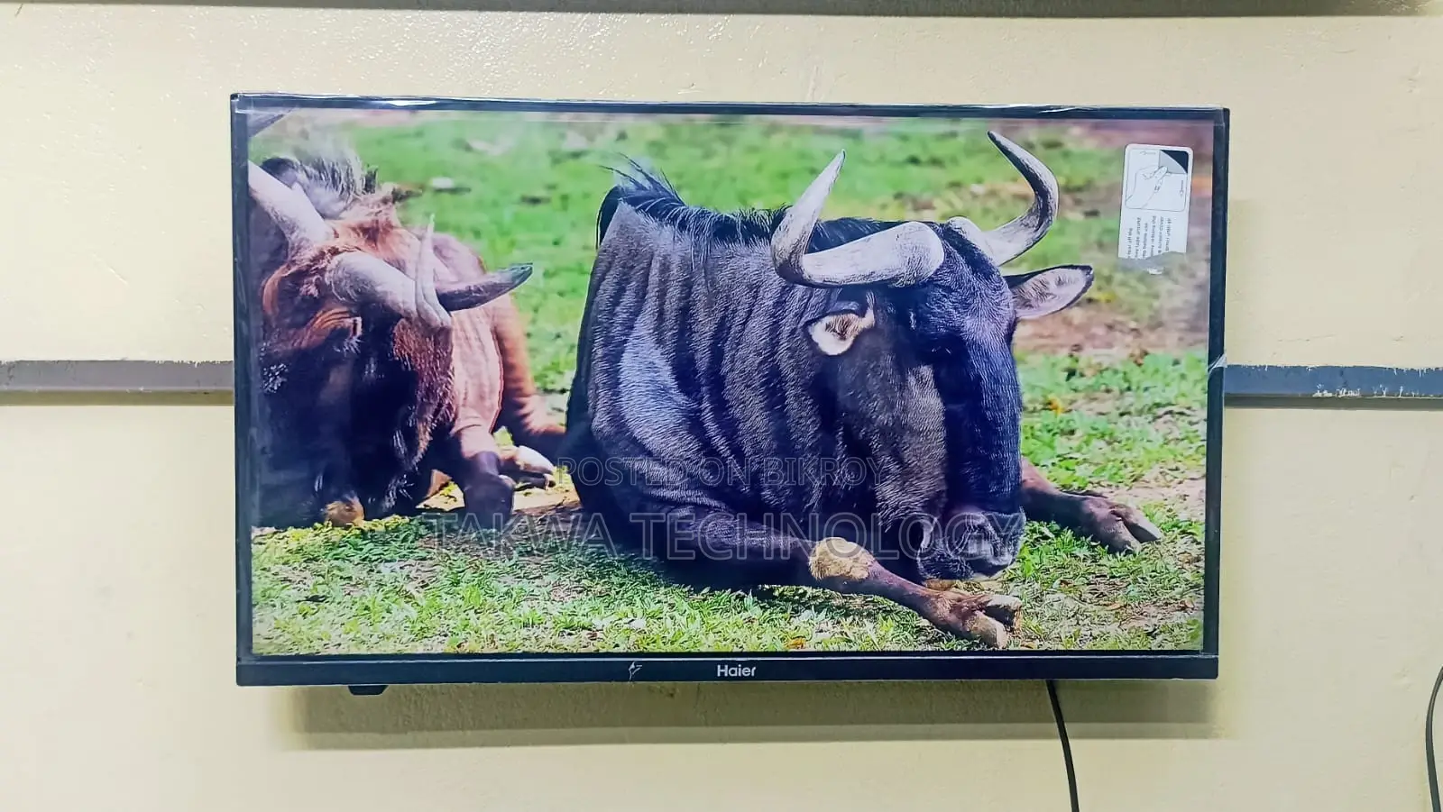 Haier-32" Inch Android Frameless Voice Control TV