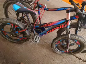Cycle For Sale