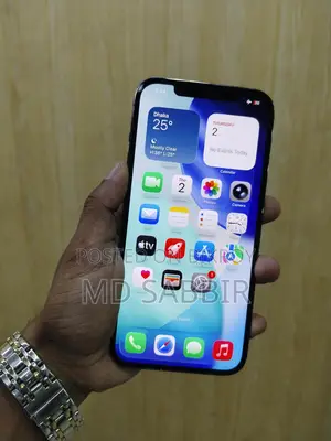 Apple iPhone 12 Pro Max 256 GB (Used)