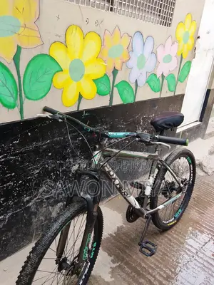 জরুরি টাকায় বাইসাইকেল বিক্রি