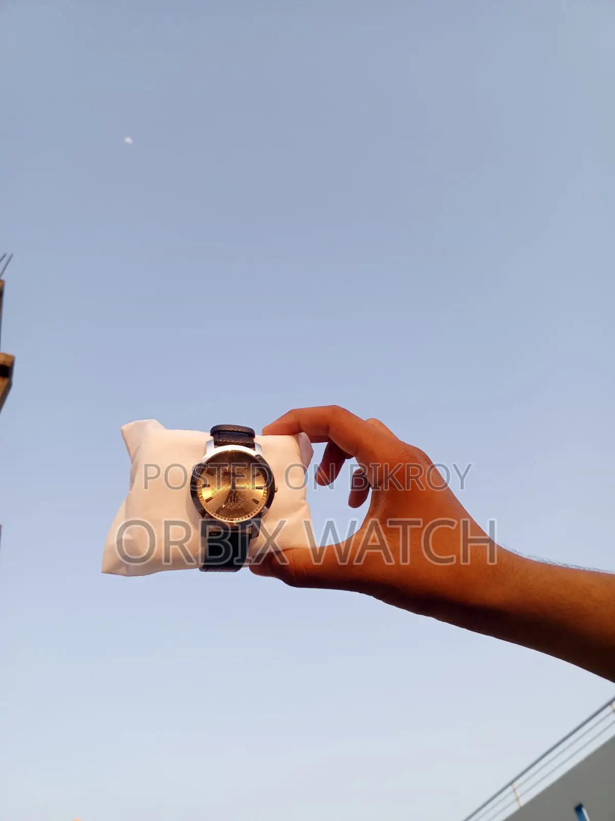 Premium Golden Shad Titan Watch