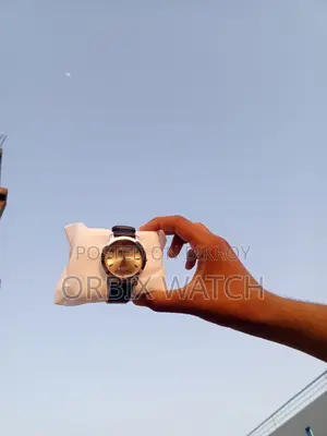 Premium Golden Shad Titan Watch