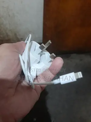 Apple iPhone 20w