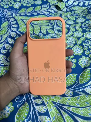 17 Pro Max Cover