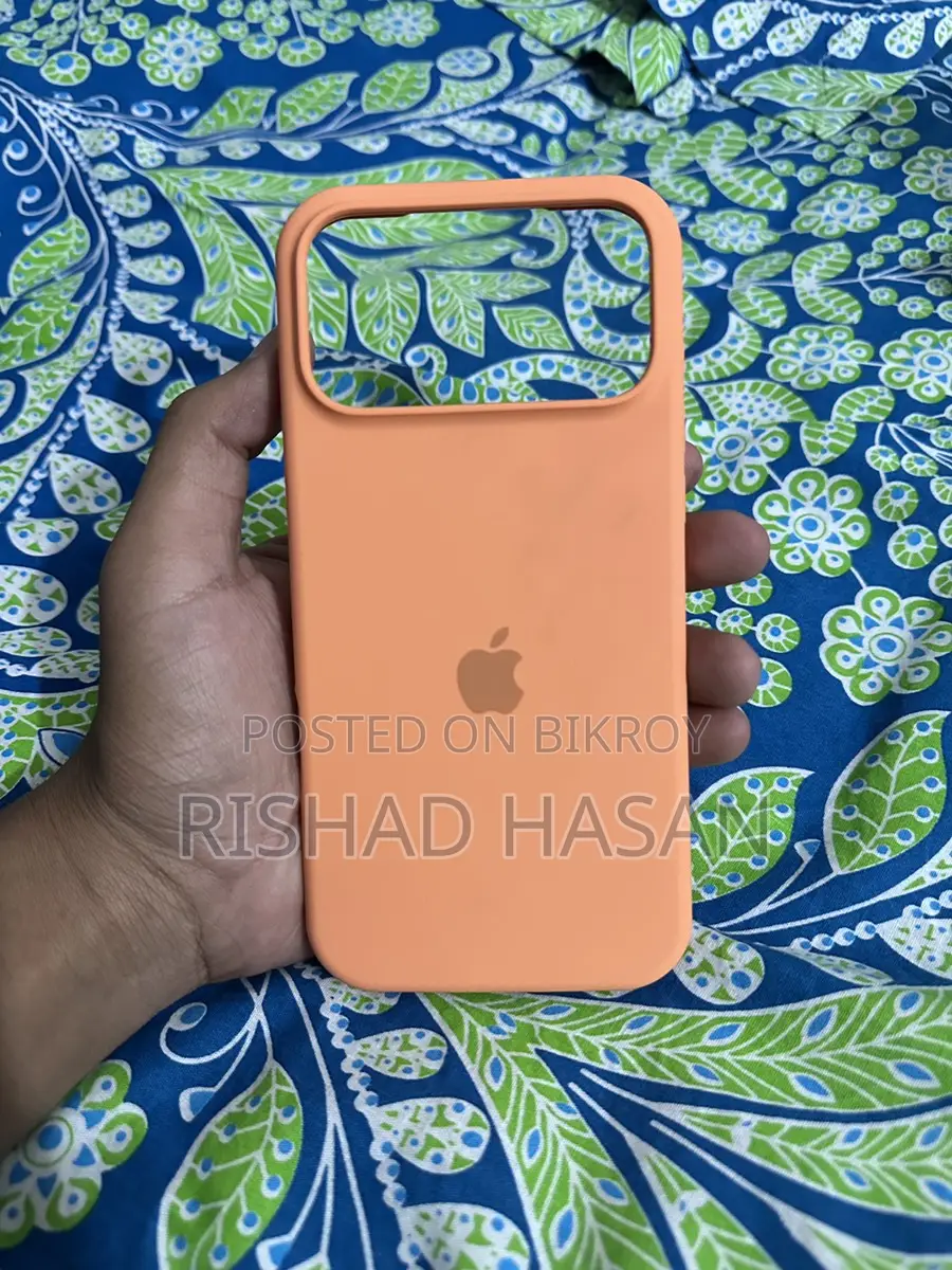 17 Pro Max Cover