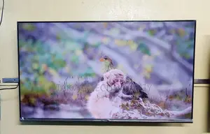 Vision-43" Inch Android 4K Frameless Voice Control Google Satisfied TV