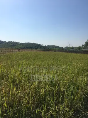 জমি বিক্রয় হবে