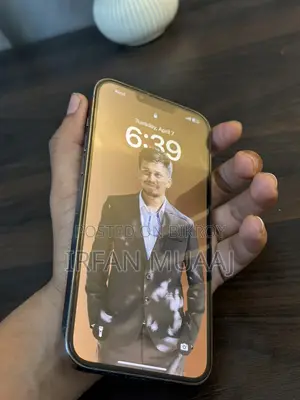 Apple iPhone 13 Pro Max . (Used)