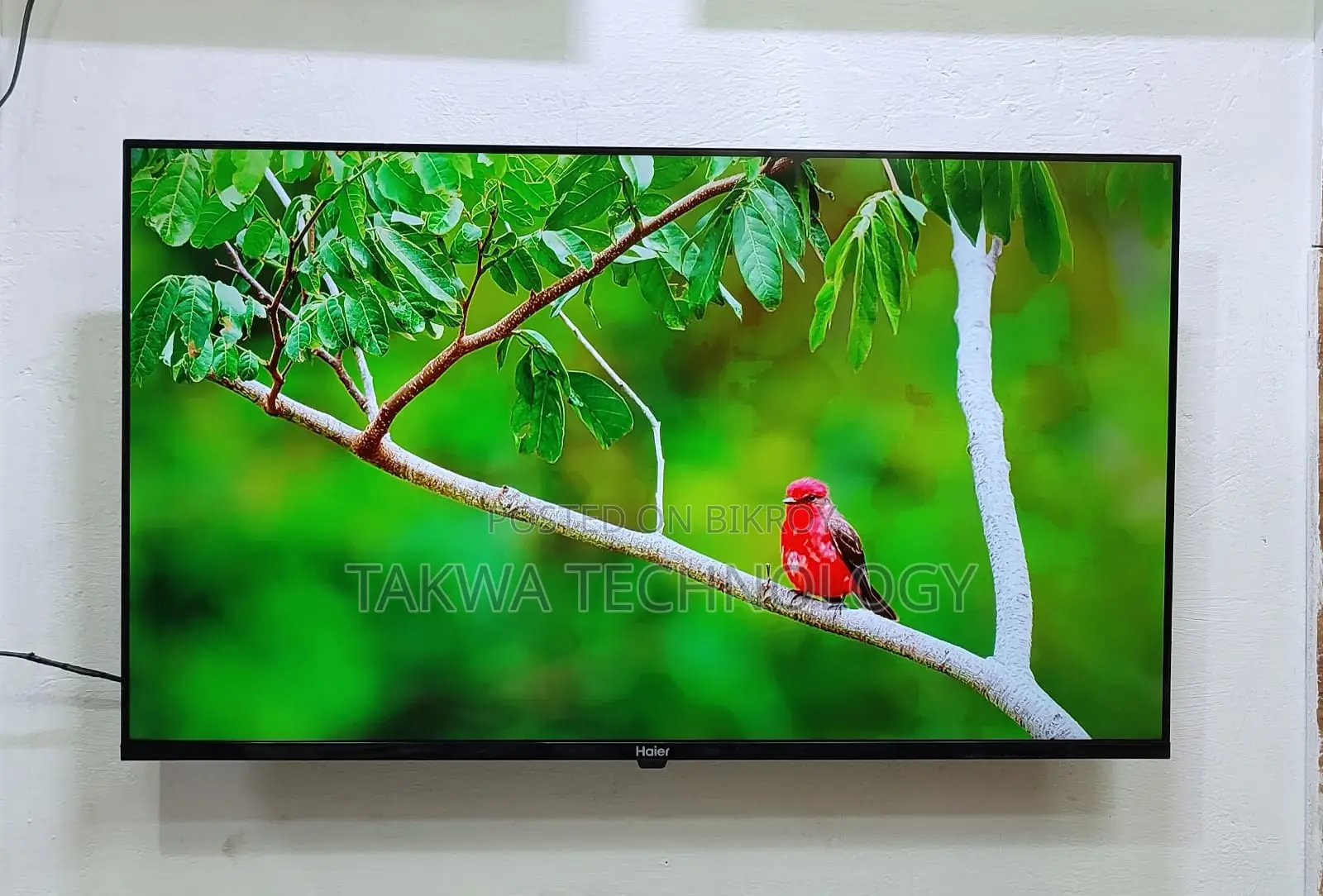 Haier-43" Inch Android Frameless Voice Control 4k Support