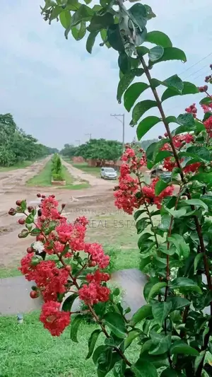 নাভানায় আবাসিক প্লট বিক্রয় চলছে!