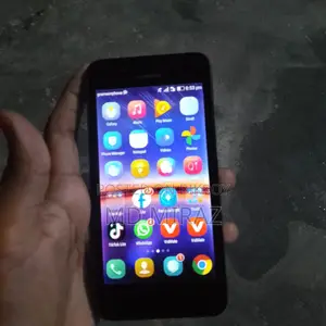 Apple . (Used)