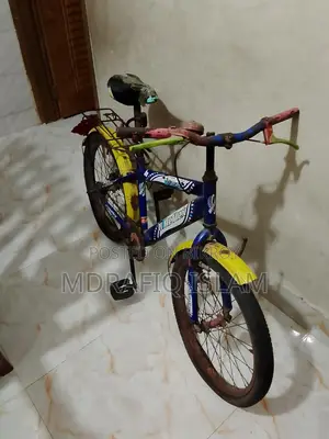 বাচ্চাদের সাইকেল পাঁচ বছর থেকে ১০-১২