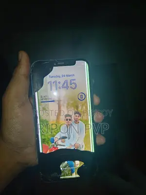 Apple iPhone 12 (Used)