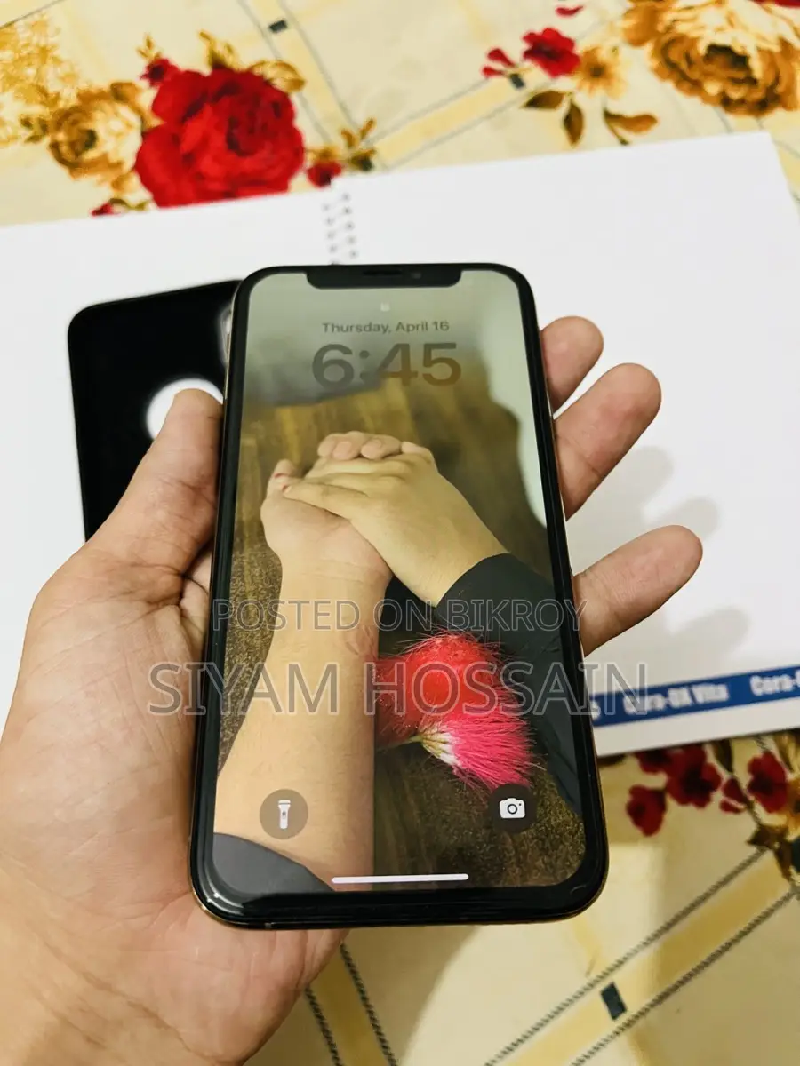 Apple iPhone XS 256GB (Used)