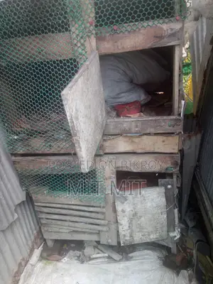 খসড়া বিক্রি করো
